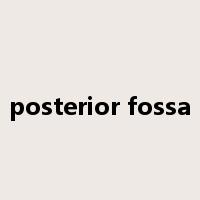 posterior fossa是什么意思