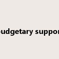 budgetary support是什么意思