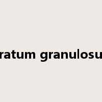 stratum granulosum是什么意思