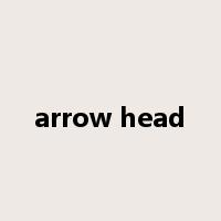 arrow head是什么意思