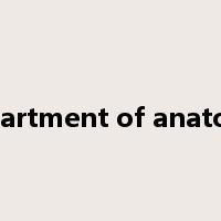 department of anatomy是什么意思