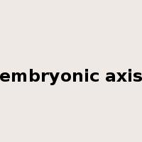 embryonic axis是什么意思