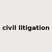 civil litigation是什么意思