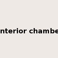 anterior chamber是什么意思