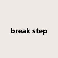 break step是什么意思