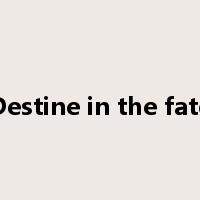 Destine in the fate是什么意思