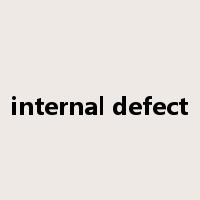 internal defect是什么意思
