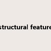 structural feature是什么意思