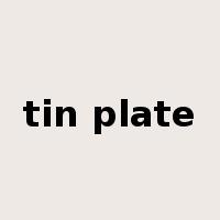tin plate是什么意思