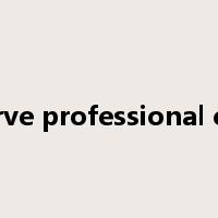 observe professional ethics是什么意思