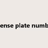 license plate number是什么意思