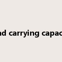 load carrying capacity是什么意思