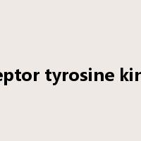 receptor tyrosine kinase是什么意思