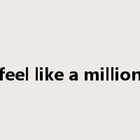 feel like a million是什么意思