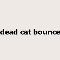 dead cat bounce是什么意思