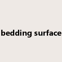 bedding surface是什么意思