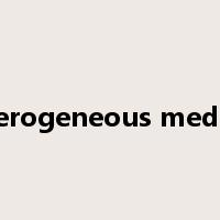 heterogeneous medium是什么意思