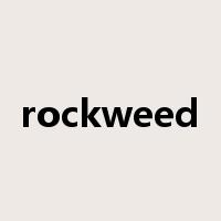 rockweed是什么意思