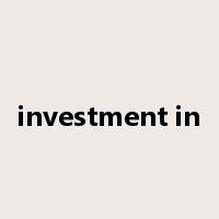investment in是什么意思