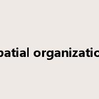 spatial organization是什么意思