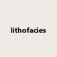 lithofacies是什么意思