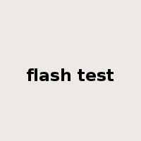 flash test是什么意思
