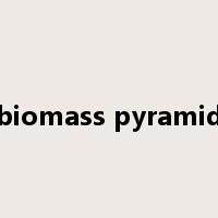 biomass pyramid是什么意思