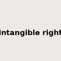 intangible right是什么意思