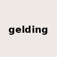 gelding是什么意思