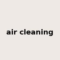 air cleaning是什么意思