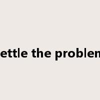 settle the problem是什么意思