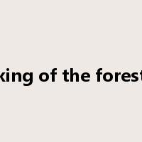 king of the forest是什么意思
