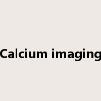Calcium imaging是什么意思
