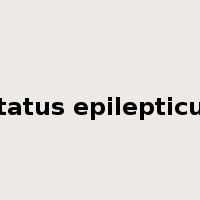 status epilepticus是什么意思