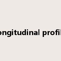 longitudinal profile是什么意思