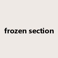 frozen section是什么意思