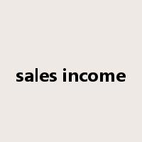 sales income是什么意思