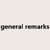 general remarks是什么意思