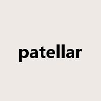 patellar是什么意思