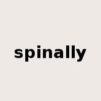 spinally是什么意思