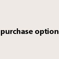 purchase option是什么意思