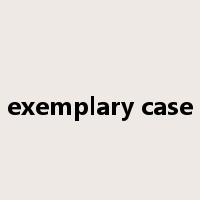 exemplary case是什么意思