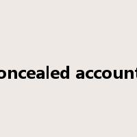 concealed accounts是什么意思