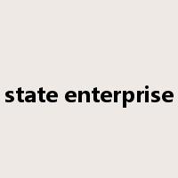 state enterprise是什么意思