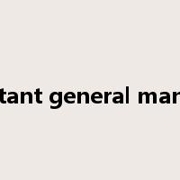 assistant general manager是什么意思
