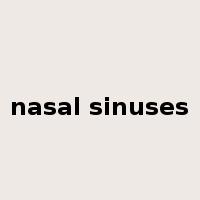 nasal sinuses是什么意思