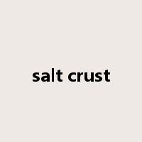 salt crust是什么意思