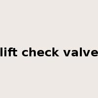 lift check valve是什么意思