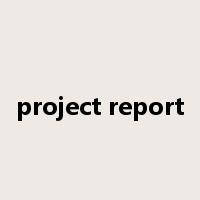 project report是什么意思