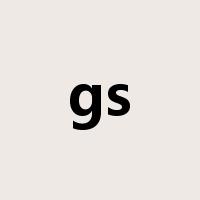 gs是什么意思